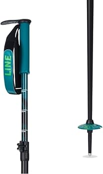 Amazon | LINE PAINTBRUSH 100-130cm ライン スキーポール 伸縮