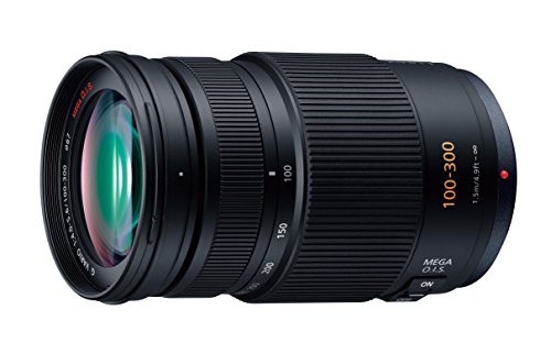Amazon.com : Panasonic LUMIX G VARIO 100-300mm F4.0-5.6 MEGA O.I.S
