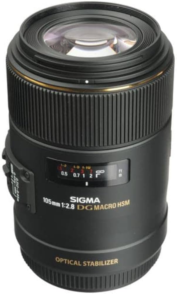 Amazon.co.jp: シグマ 105mm F2.8 EX DG MACRO キヤノン用 : 家電＆カメラ