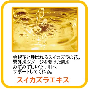 Amazon | ポーラ [アロマエッセゴールド] モイスチャーローション 業務