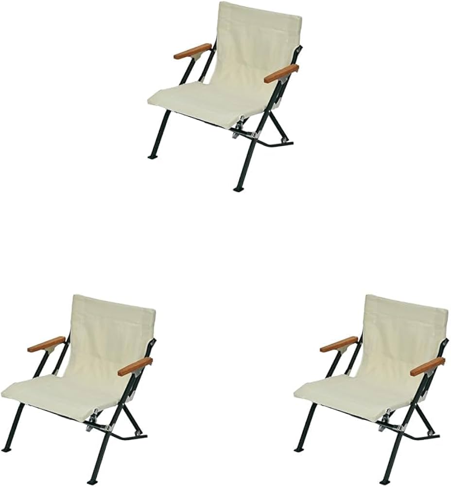 Amazon.co.jp: スノーピーク(snow peak) チェア ローチェア30 ショート