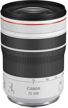 Amazon.com : Canon RF70-200mm F4 L is USM Lens, Telephoto Zoom