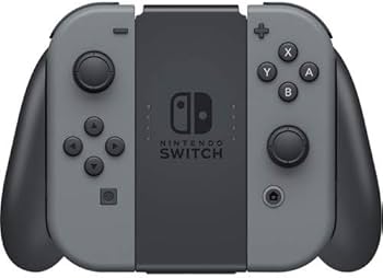 Nintendo Switch Console Gray Joy-Con : Amazon.ca: Video Games