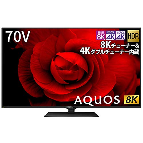 今日のコストコTV売場(2022年2月版)(1/2) - 徒労日記
