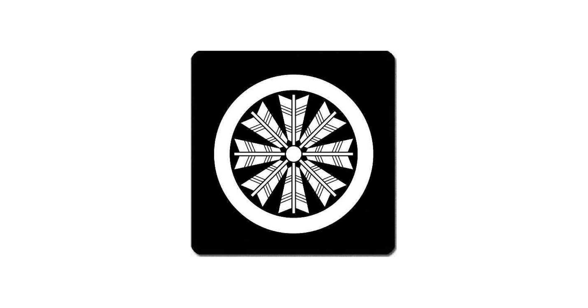 41noKnm-gVL.jpg_BO30,255,255,