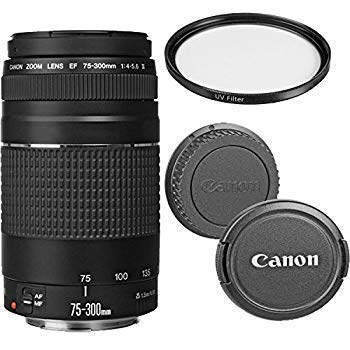 Amazon.com : Canon EF 75-300mm f/4-5.6 III Telephoto Zoom Lens