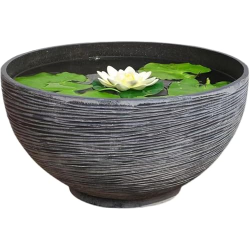 鉢 大型 睡蓮鉢」の人気商品一覧 | 安い商品を通販サイトから探す