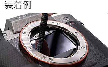 41p+D9oyOEL._AC_UF350,