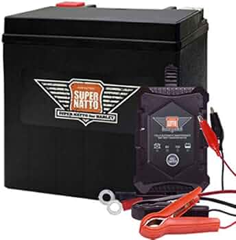 41pJEgOZ1rL._AC_UF350,