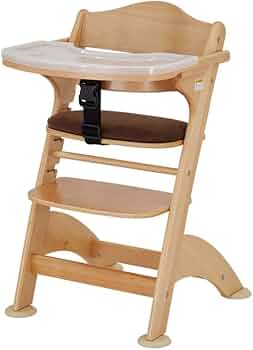 41q8z20w2XL._AC_UF350,