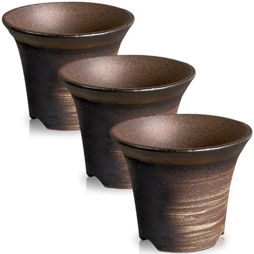 アガベ 用 鉢」の人気商品一覧 | 安い商品を通販サイトから探す - 価格.com