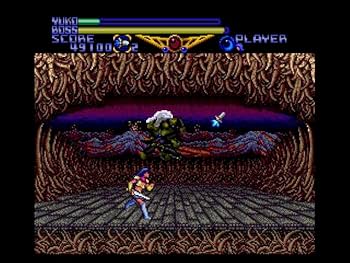 Amazon.co.jp: 夢幻戦士ヴァリス Memorial Collection 限定版 【同梱物