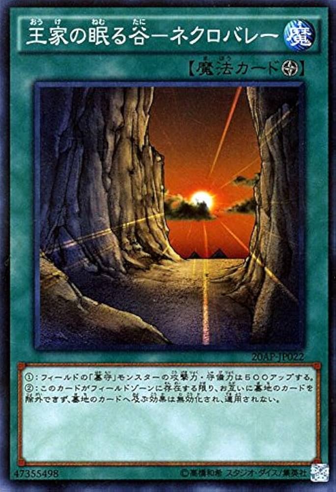 Amazon.co.jp: 遊戯王 王家の眠る谷－ネクロバレー ノーマルパラレル