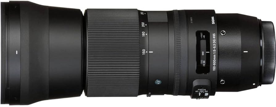 Amazon.co.jp: SIGMA 150-600mm F5-6.3 DG OS HSM | Contemporary C015