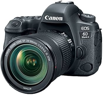 Amazon.com : Canon EOS 6D Mark II with EF 24-105mm IS STM Lens
