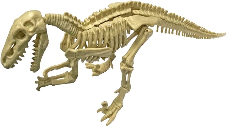 ディノニクス 化石 恐竜キング ディノニクス 恐竜キング Dinosaur King