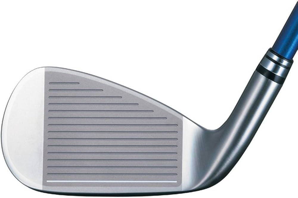 Amazon.co.jp: DUNLOP(ダンロップ) XXIO ゼクシオ エイト アイアン