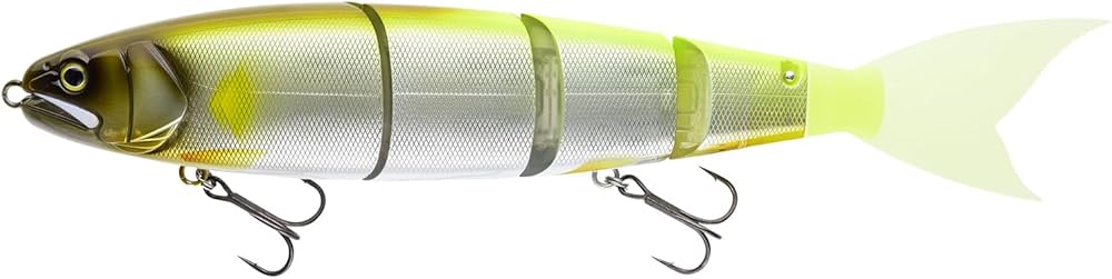 Amazon.co.jp: マドネス(Madness) バラム245#04 GMチャート 245mm