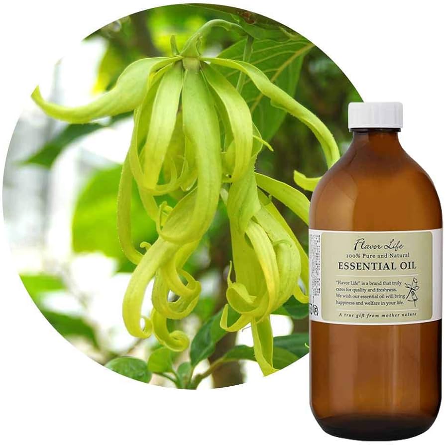 Amazon.co.jp: フレーバーライフ(Flavor Life) 精油 イランイラン