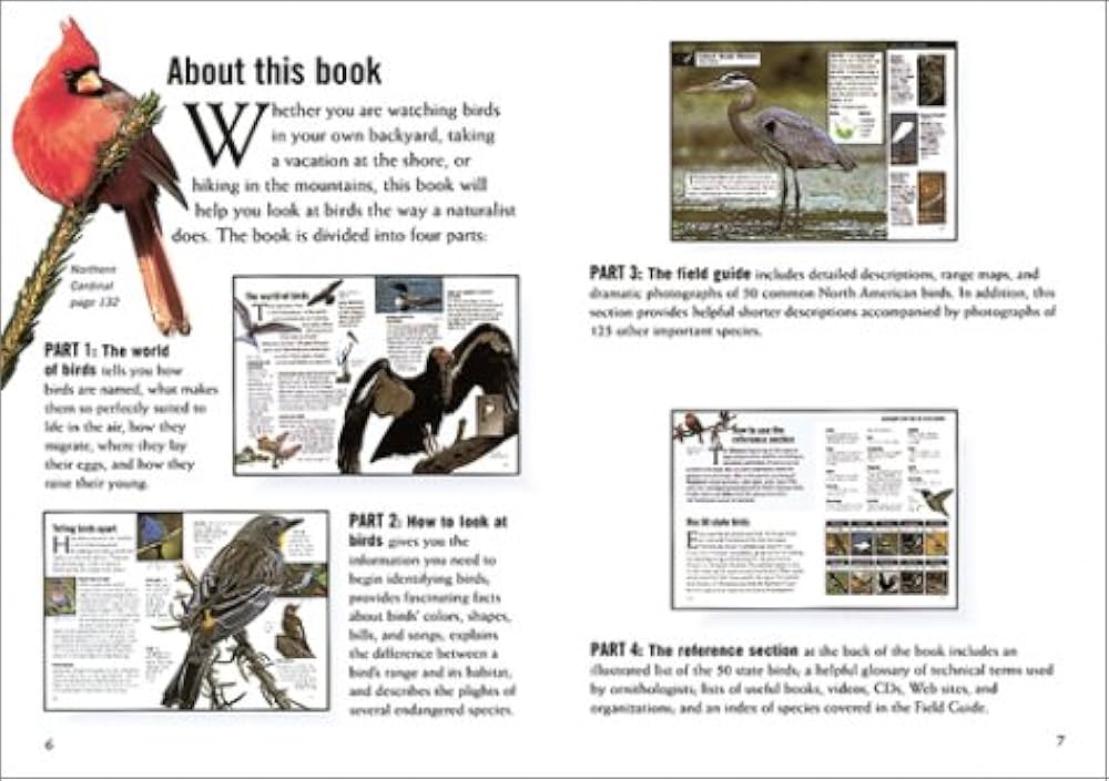 Birds (National Audubon Society First Field Guides): Weidensaul