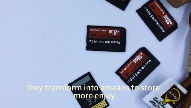 Amazon.com: Original 64GB Memory Stick PRO-HG Duo HX64gb for PSP