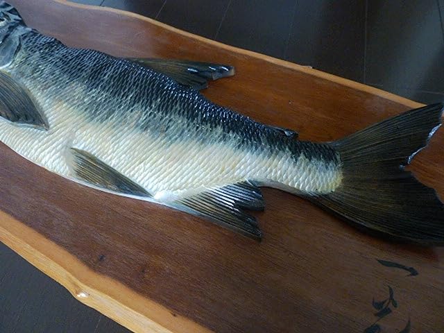 Amazon.co.jp: 一光作鮭彫刻壁掛け天然木彫り伝統工芸品サケさけ魚