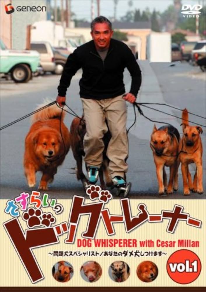 Amazon.co.jp: さすらいのドッグトレーナー Vol.1~問題犬