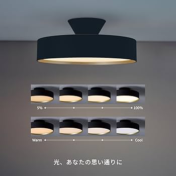 Amazon.co.jp : アートワークスタジオ グロー3000LEDシーリングライト