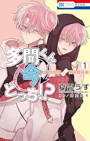 多聞くん今どっち！？ まるごとF/ACE小冊子付き特装版 8 (花とゆめ