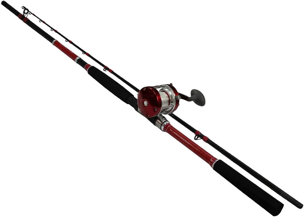 Amazon | タコGUN GUNセット2 210cm リール付 (糸付) タコ釣り