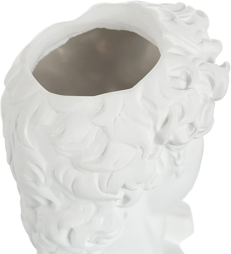 Amazon.co.jp: Hewory 樹脂製 頭像 花瓶 プランター ダビデの顔花瓶 花