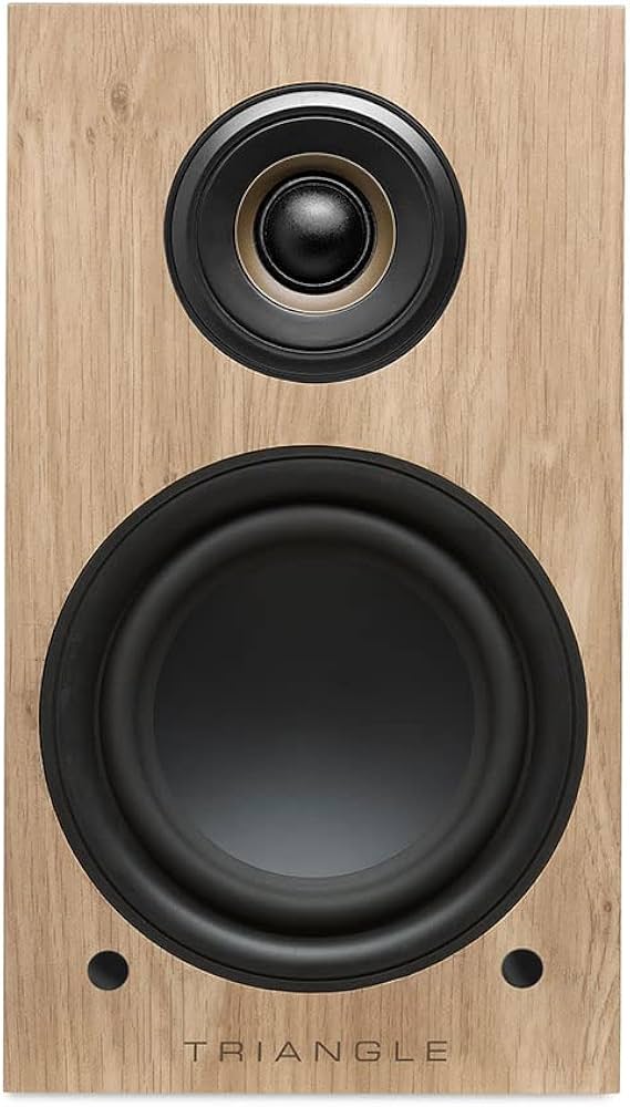 Amazon.co.jp: 【国内正規品】TRIANGLE アクティブスピーカー LN01A