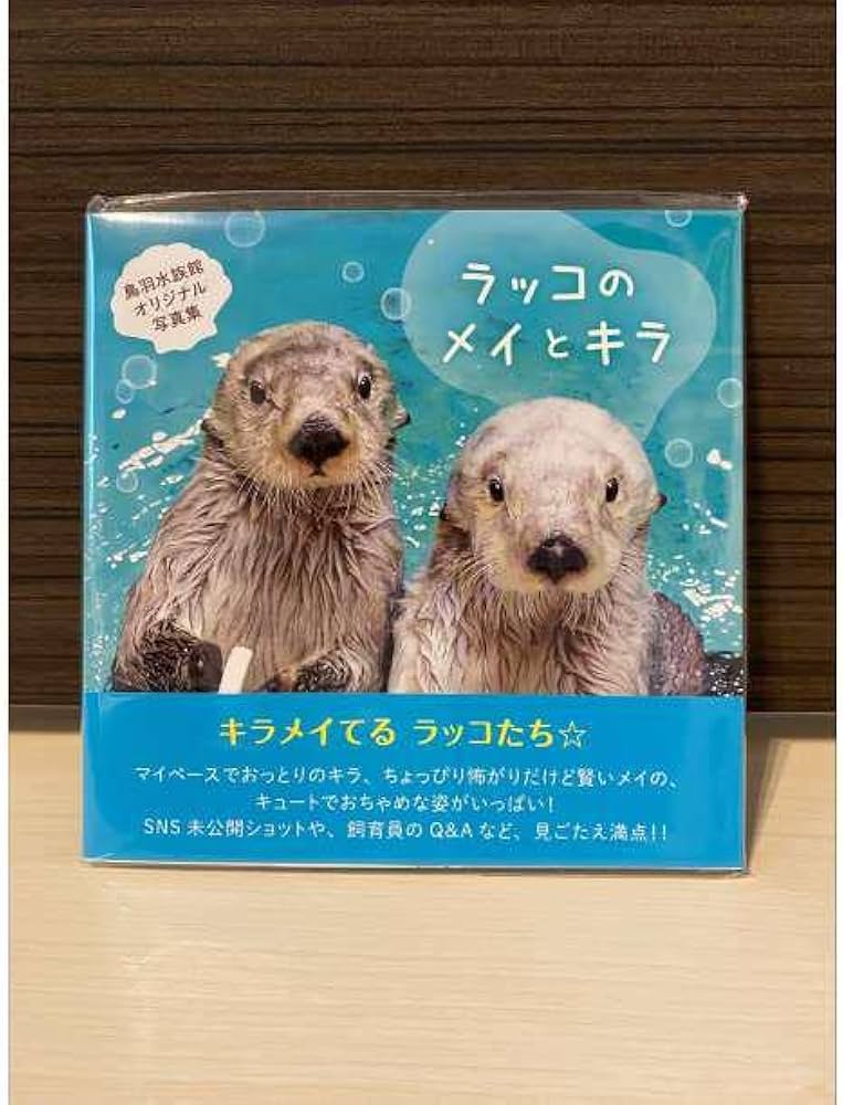 Amazon.co.jp: ラッコのメイとキラ オリジナル ラッコ写真集 キラと