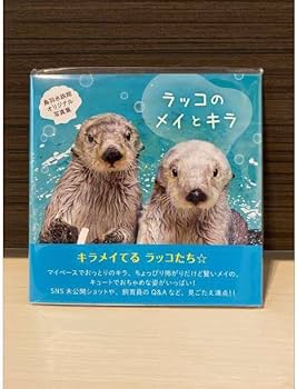 Amazon.co.jp: ラッコのメイとキラ オリジナル ラッコ写真集 キラと