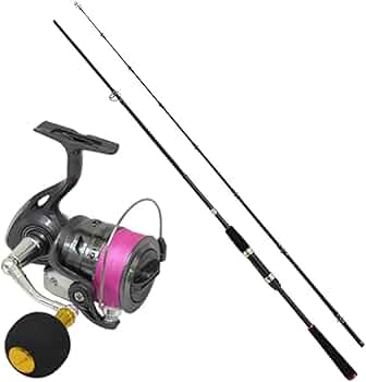 516n4WBw4NL._AC_UF350,