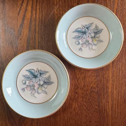 ロイヤルウースター 皿」の人気商品一覧 | 安い商品を通販サイトから