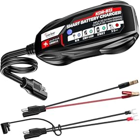 Amazon.co.jp: バッテリー充電器: 車＆バイク: カーバッテリー充電器