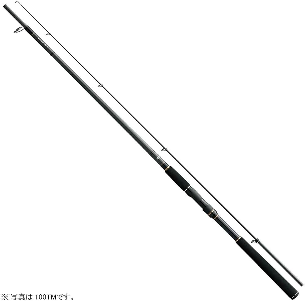 Amazon | ダイワ(Daiwa) シーバスロッド スピニング ラテオ 100TML・Q