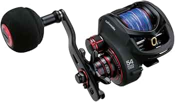 517YdTd0ABL._AC_UF350,