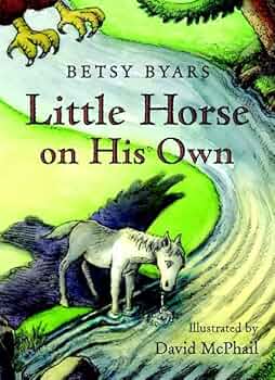 518B4iwvoyL._AC_UF350,