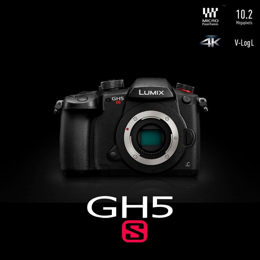 Amazon.com : PANASONIC LUMIX GH5s Body C4K Mirrorless Camera, High