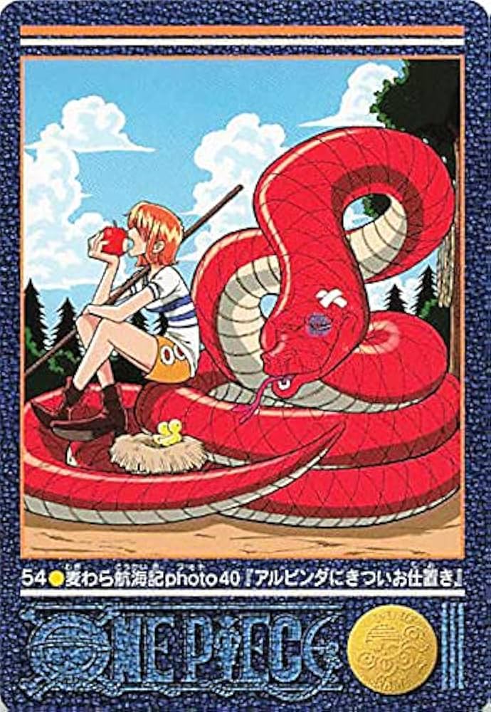 Amazon.co.jp: ワンピース ビジュアルアドベンチャー 麦わら航海記