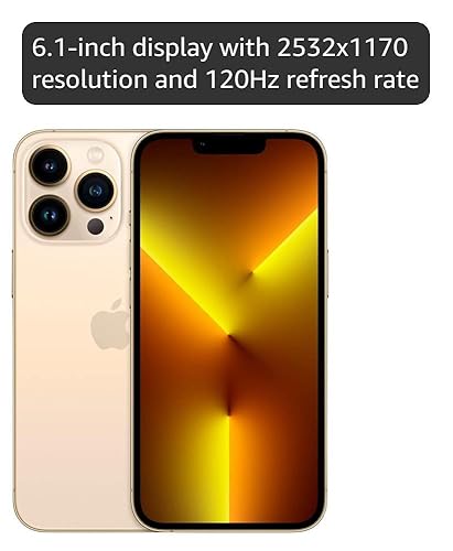 Amazon.com: Apple iPhone 13 Pro, 256GB, Gold - Unlocked (Renewed