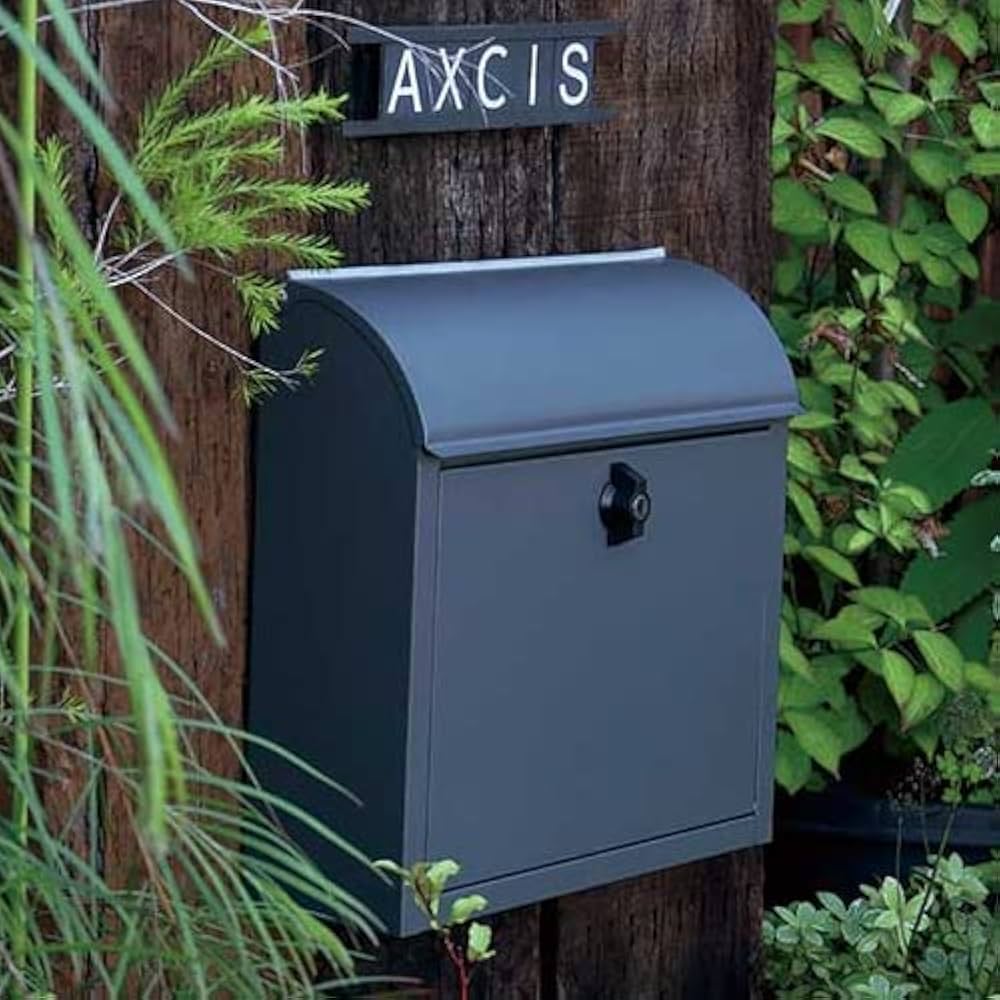 Amazon.co.jp: AXCIS（アクシス） ポスト 壁掛け 置き型 鍵付き A4