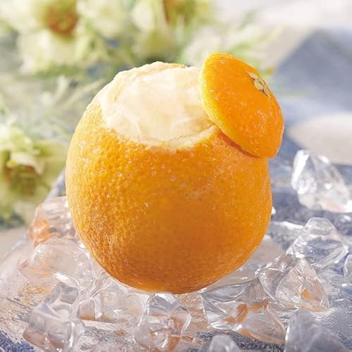 アイスクリーム シャーベット オレンジ」の人気商品一覧 | 安い商品を