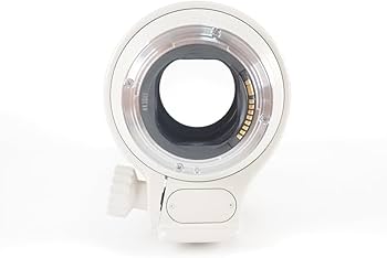 Amazon.co.jp: Canon 望遠ズームレンズ EF70-200mm F2.8L USM フル