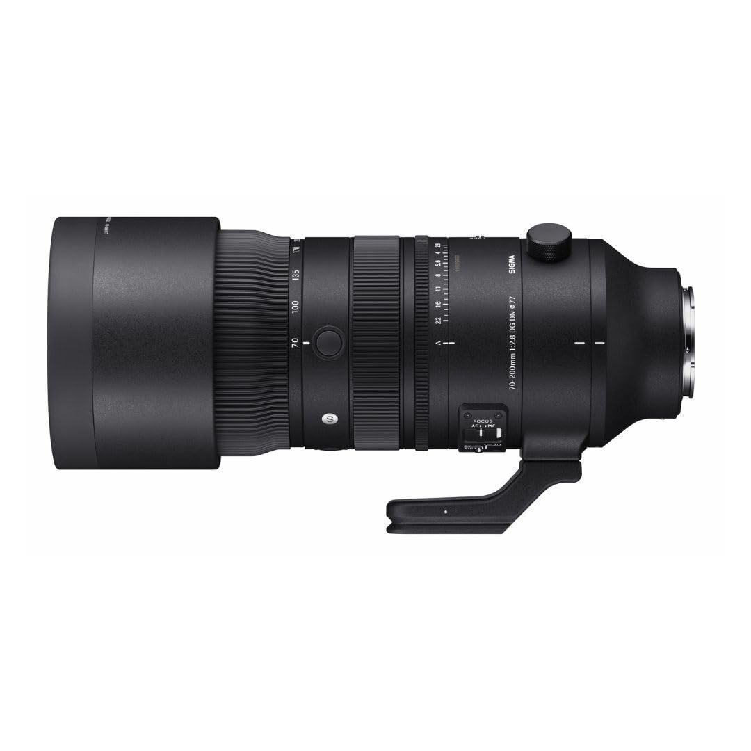 Amazon.com : 70-200mm F2.8 DG DN OS for Sony : Electronics