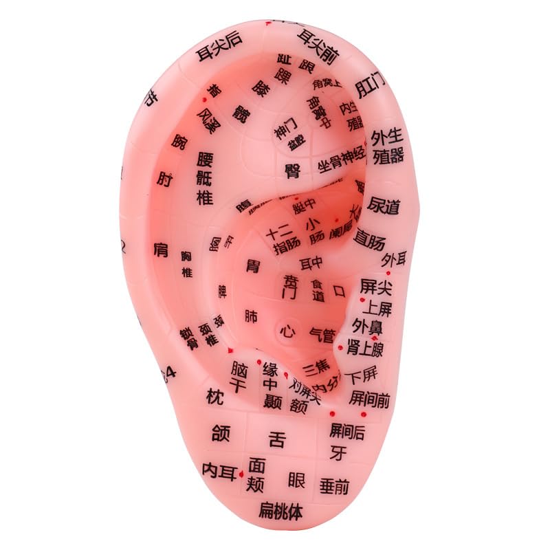 Amazon | 耳つぼ 模型 耳つぼシール 耳つぼジュエリー 練習 グッズ 耳