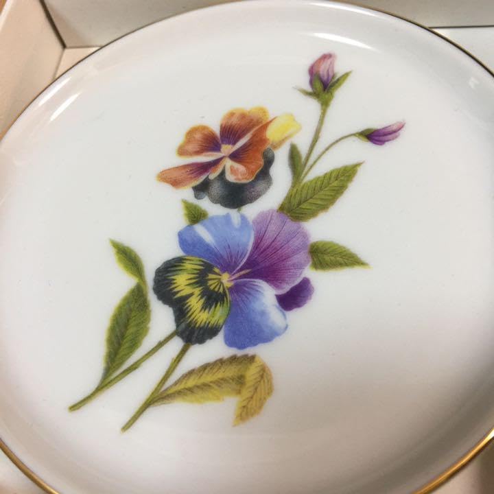 Amazon.co.jp: フィシテンバーグ 皿 プレート 貴重ヴィンテージ 6枚