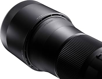 Amazon.co.jp: シグマ(Sigma) レンズ 150-600mm F5-6.3 DG OS HSM